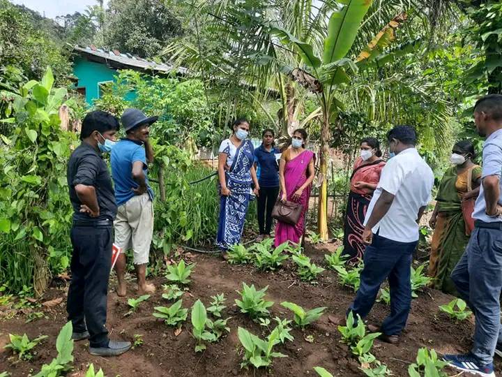 Food Safety Program in Walapane Divisional Secretariat