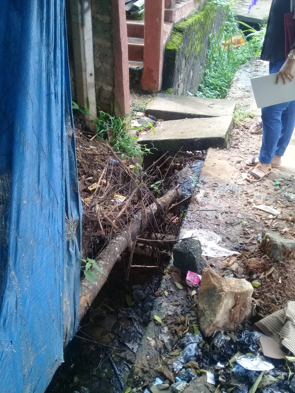 උකුවෙල මීදෙනිය වසම්වල ඩෙංගු මර්දන වැඩසටහනක්.