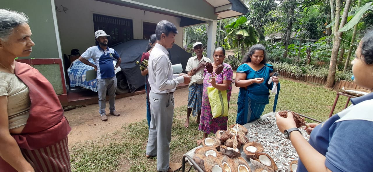 අඹන්ගඟ කෝරලේ ප්රාදේශීය සභාව හා මැටිහක්ක මහජන පුස්තකාලය මගින් ක්රියාත්මක කරන ලද ගෙවතු වගා වැඩසටහනක්.