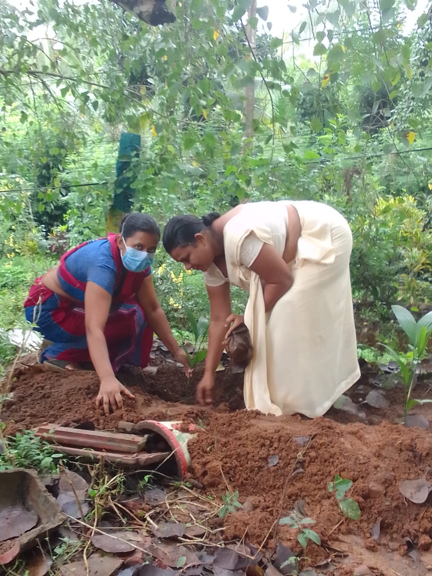පල්ලේපොල එබ්බාවල ප්රාථමික විද්යාල භූමියේ රුක්රෝපණ වැඩසටහනක්.