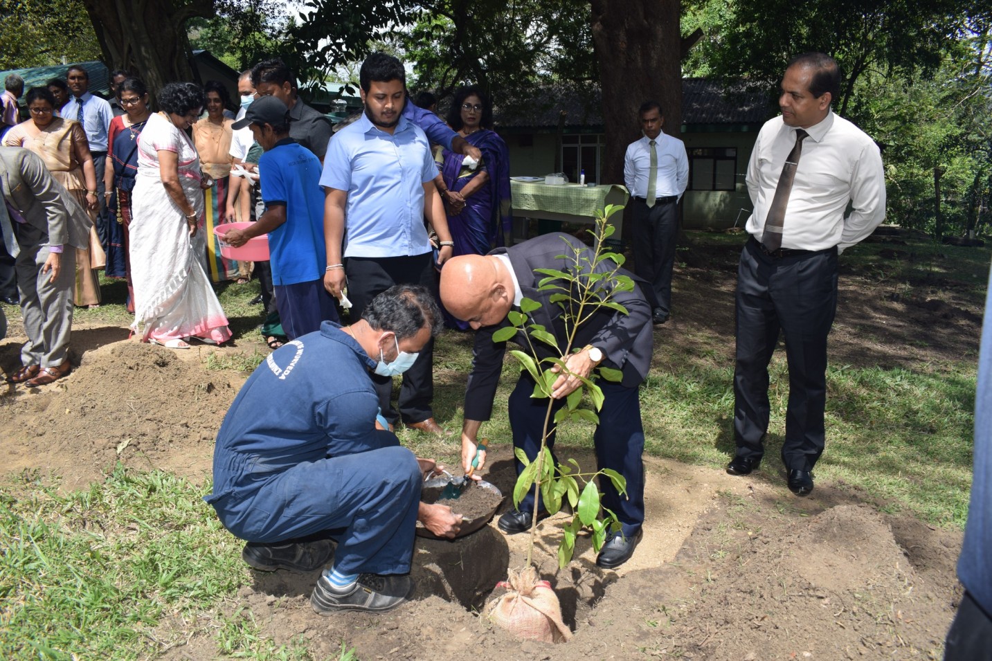 මධ්යම පළාතේ ආයුර්වේද ඖෂධ නිෂ්පාදනයට ඔසු උයනක්.