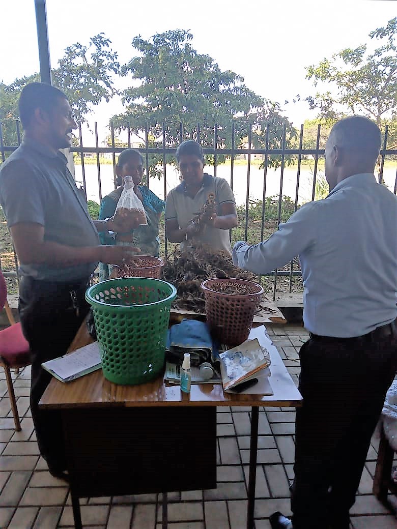 ගලේවෙල බිම්මල් වගාව පිළබදව දැනුම්වත් කිරීමේ වැඩසටහනක්