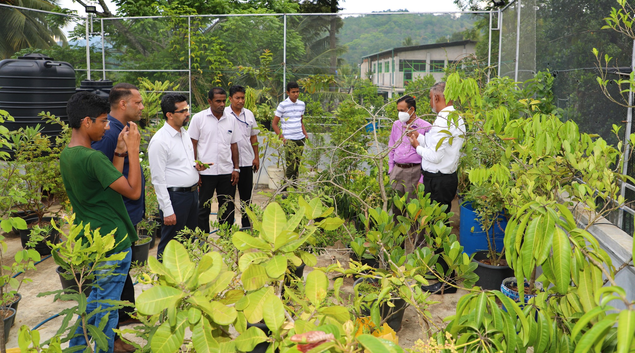 .මාතලේ , ඩොලේ වත්තේ කොන්ක්රීට් පලතුරු උයන.