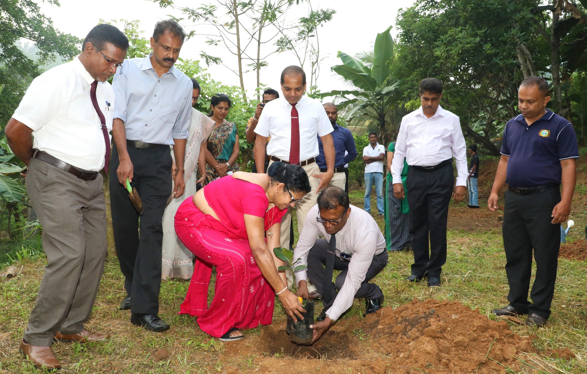“නැකතට පැළයක් - රටටම හුස්ම දෙන නැකතට ඵලයක් දෙන පැළයක් සිටවමු”
