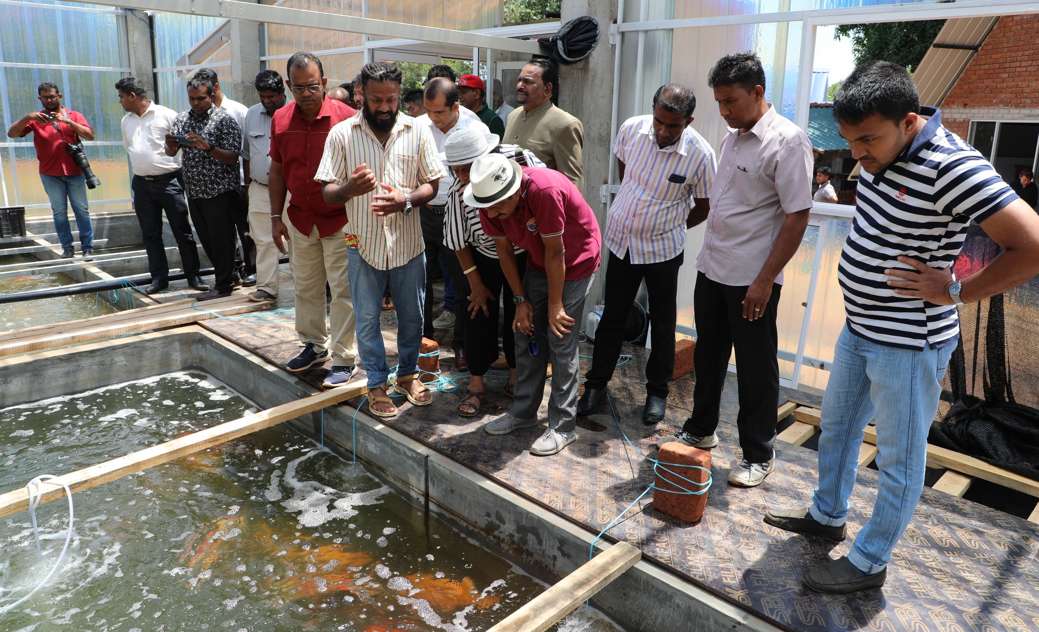 නව ආයෝජනය අවස්ථා තුලින් ලක්ෂ ගණනක ආදායම් උත්පාදනයට මග සදන KOI විසිතුරු මසුන් වගාවක් දඹුල්ලේ .
