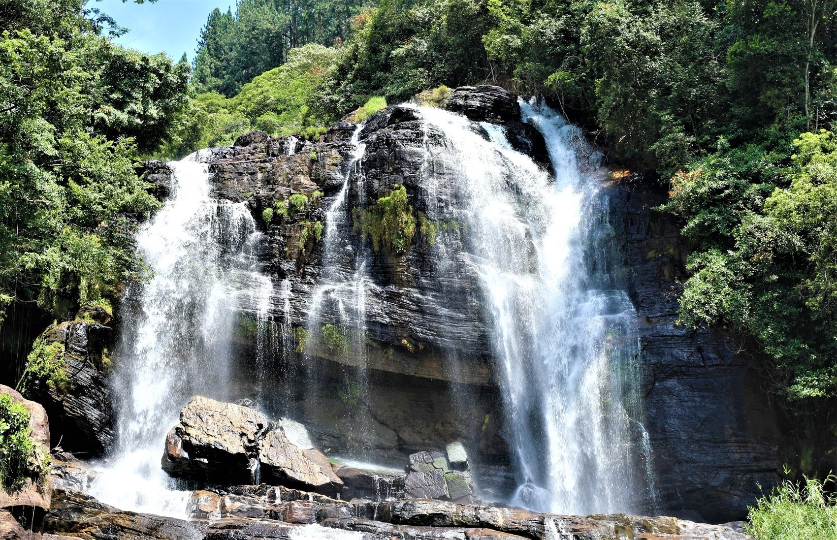 ගල්බොඩ ඇල්ල ප්රදේශය ආණ්ඩුකාරවරයාගේ නිරීක්ෂණයට.