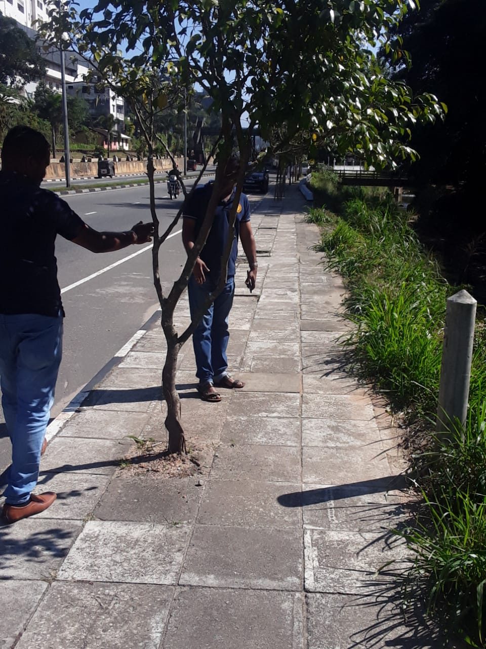 නිදහස් උළෙල වෙනුවෙන් පරිසර අලංකරණ වැඩසටහනක්.