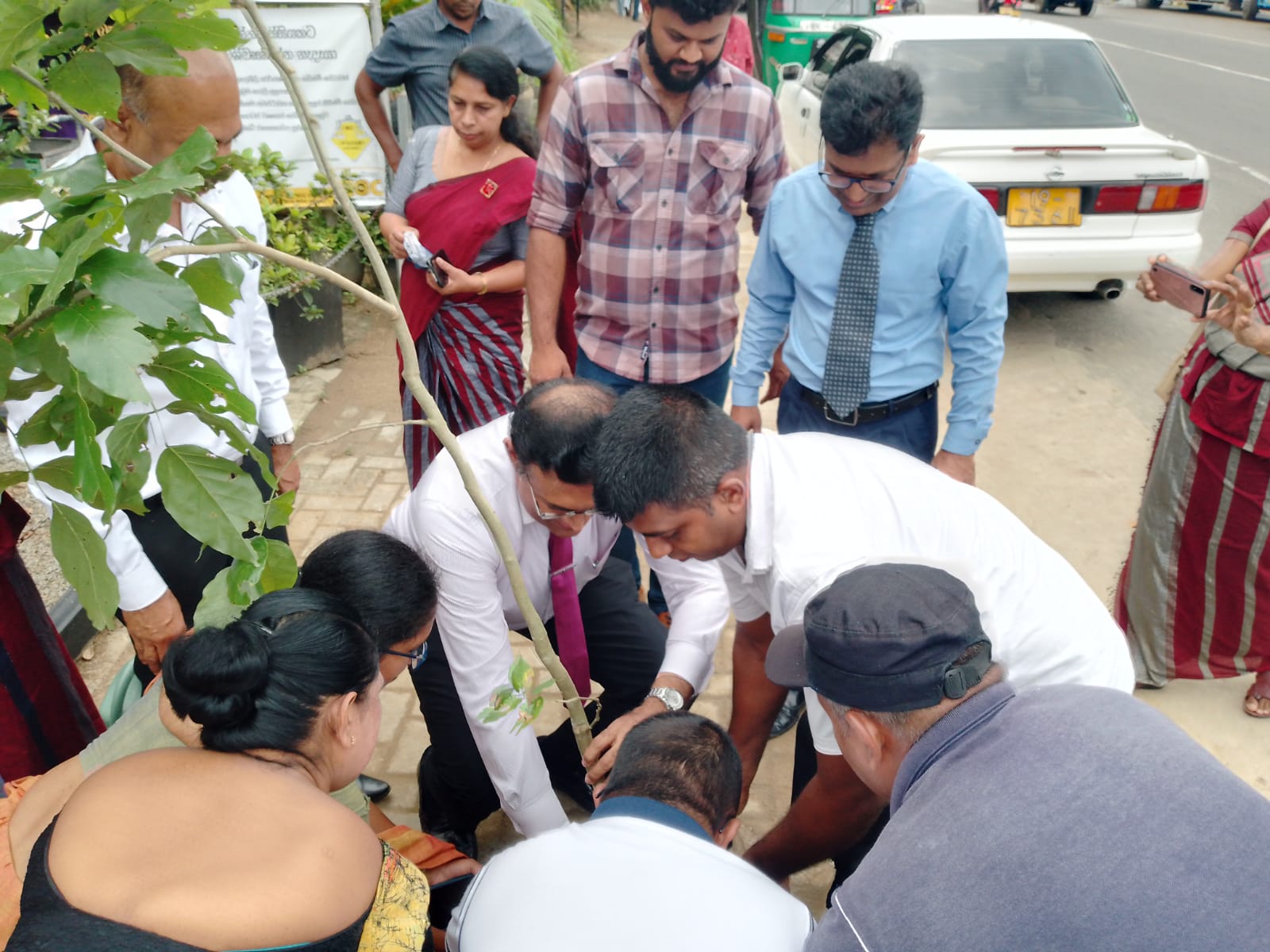 ජගත් පරිසර දිනයට තෙල්දෙණියේ නගරයේ රුක් රෝපණ වැඩසටහනක්.