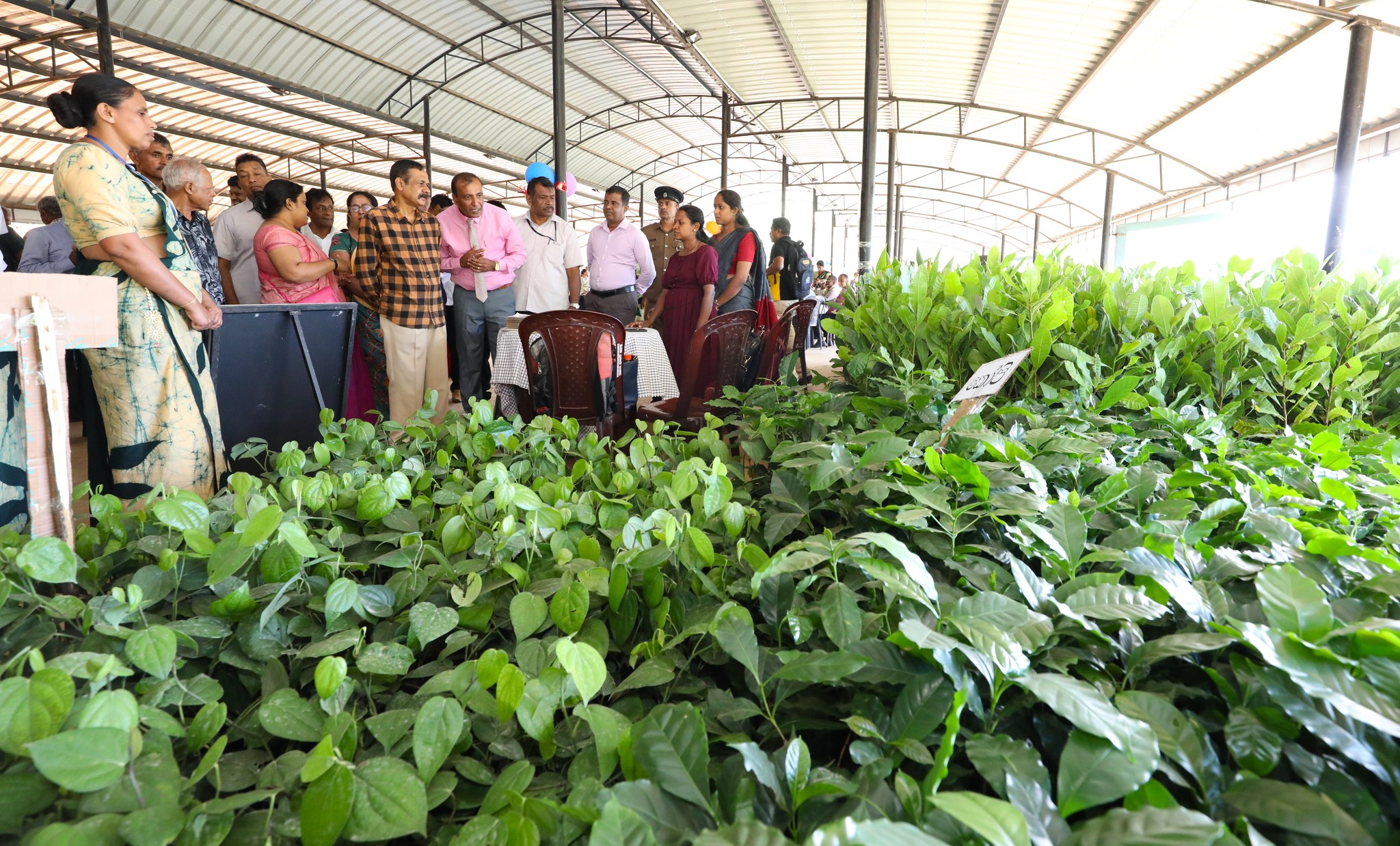“සමුපකාර කොමිසම ගමට”