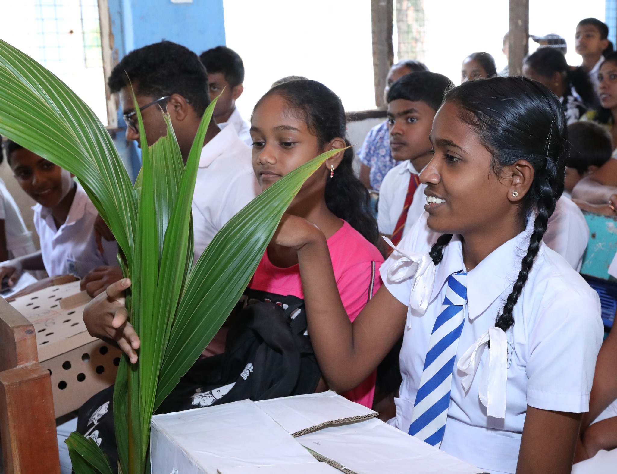 මධ්යම පළාතේ පාසල් දරුවන් ව්යවසායකත්වය ගොඩනැගීමේ ව්යාපෘතියක් දොළුවෙන්.