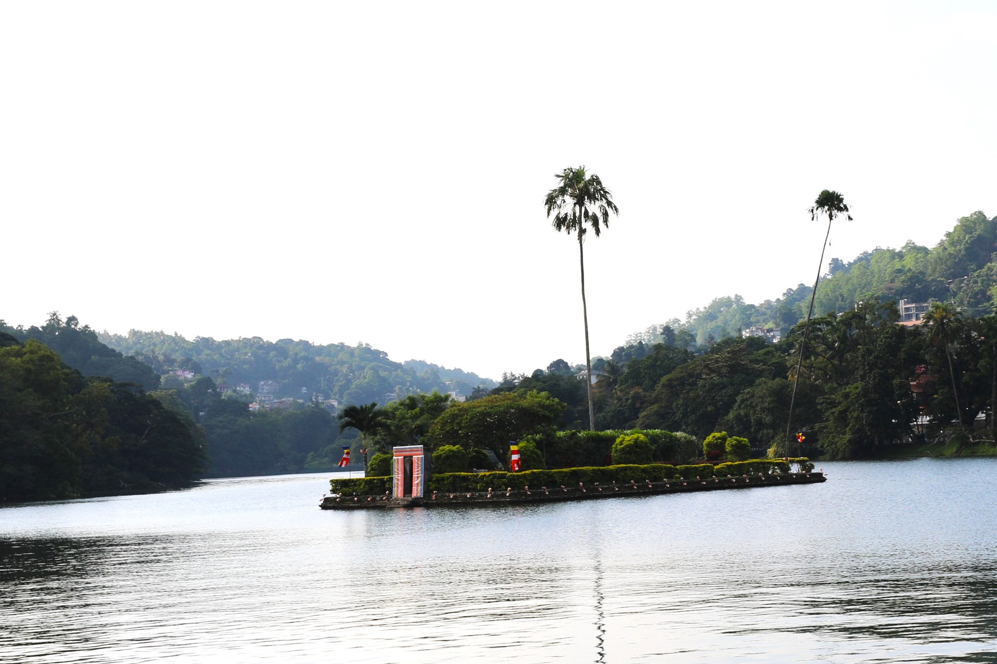 දියතිලක මණ්ඩපයේ ශාක පද්ධතියට නව රුක් රෝපණය කෙරේ.