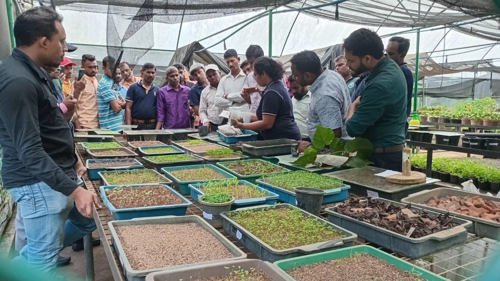 පළාත් පාලන බල ප්රදේශ අලංකරණයට පුහුණුවක්