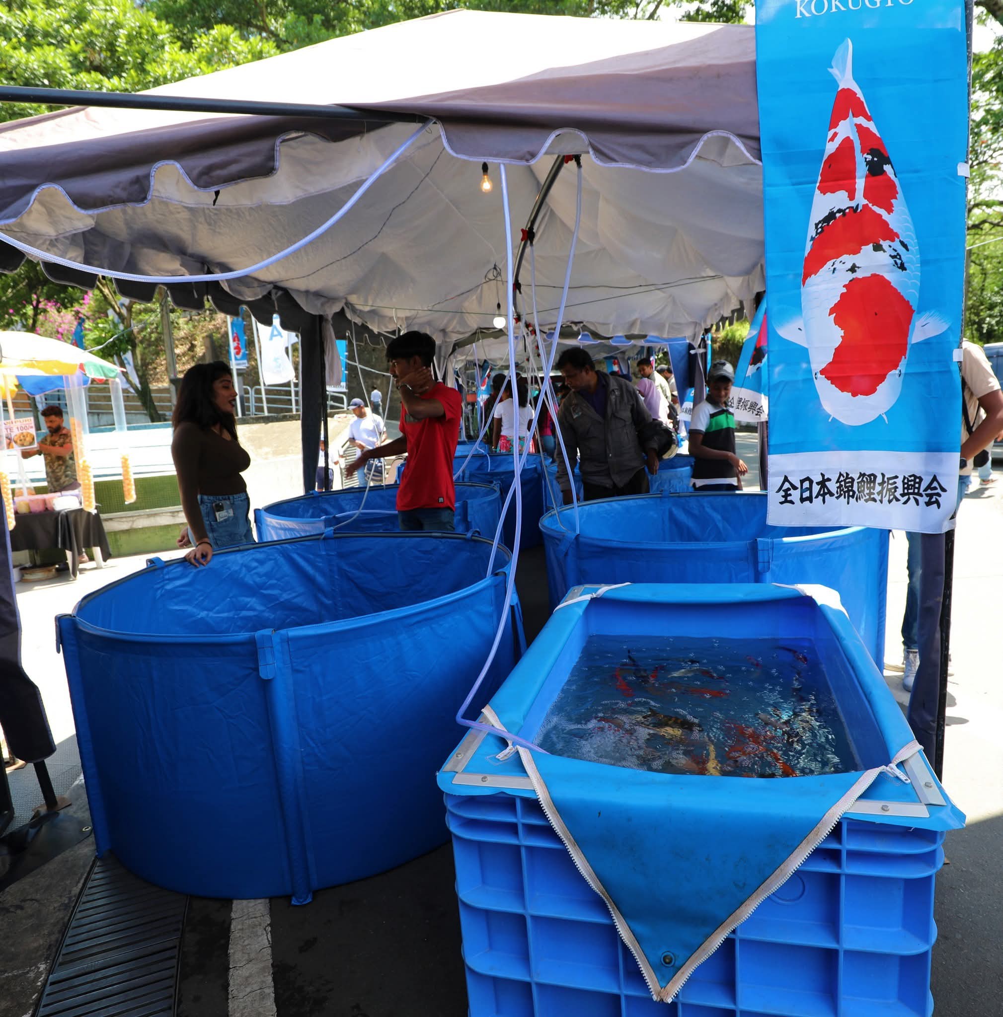 සෙංකඩගල මින් විසිතුරු 2025