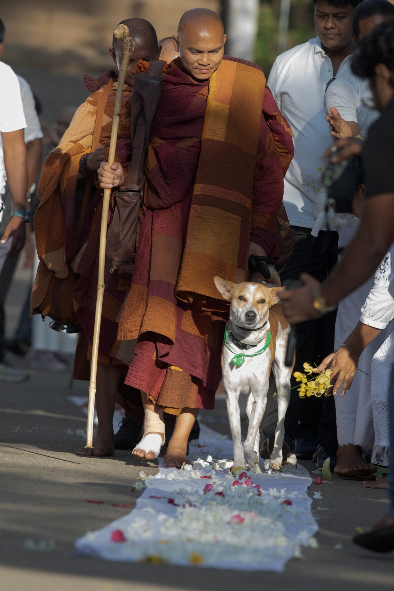 සාම පාගමනේ දෙවන දිනය