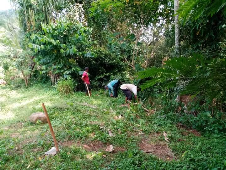 මාතලේ ප්‍රාදේශීය සභාව මගින් ඉඩම් හා රක්ෂිතවල කොස් පැළ 100000 සිටුවීමේ වැඩසටහනක්.