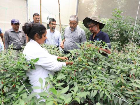 මහනුවර කෘෂි අංශ නව්‍යකරණ ව්‍යාපෘති නිරීක්ෂණයට