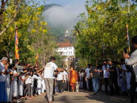 සාම පාගමනේ දෙවන දිනය
