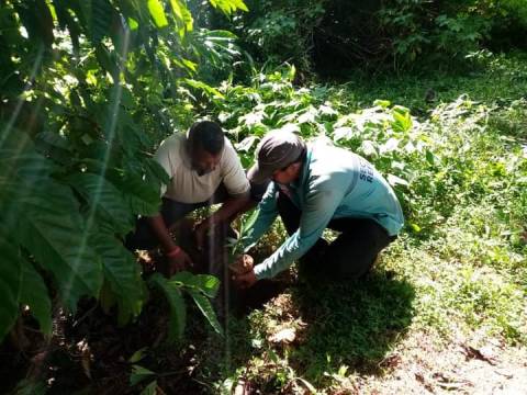 මාතලේ ප්‍රාදේශීය සභාව මගින් ඉඩම් හා රක්ෂිතවල කොස් පැළ 100000 සිටුවීමේ වැඩසටහනක්.