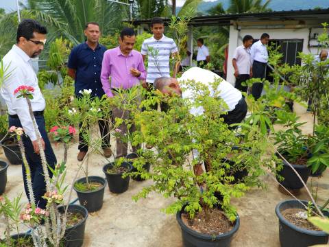 .මාතලේ , ඩොලේ වත්තේ කොන්ක්‍රීට්  පලතුරු උයන.